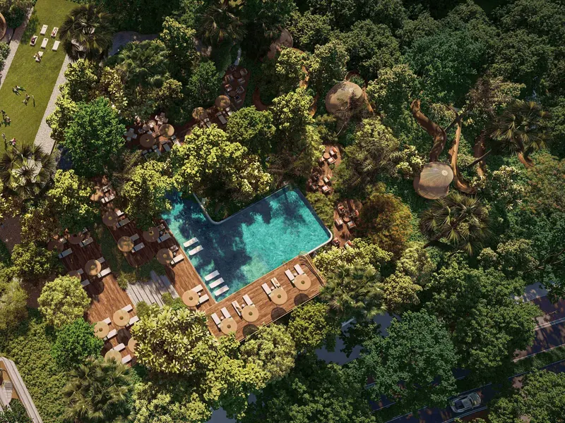 The Forest District